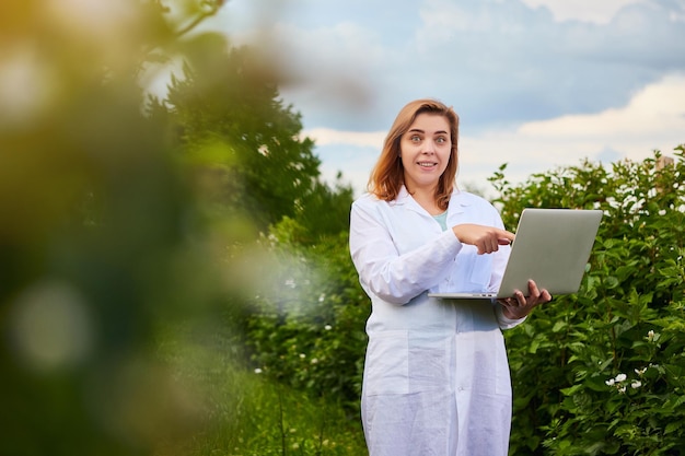 Cientista que trabalha no jardim de frutas Inspetor biólogo examina arbustos de amora usando laptop