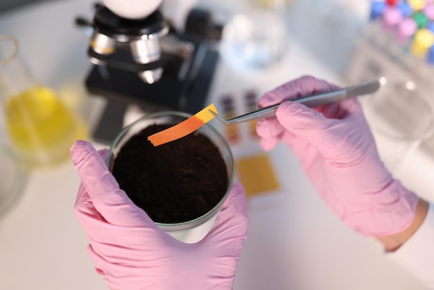 Cientista químico verificando a acidez do solo usando papel de tornassol em close do laboratório