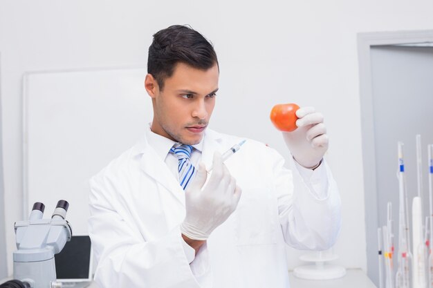 Foto cientista sério fazendo injeção ao tomate