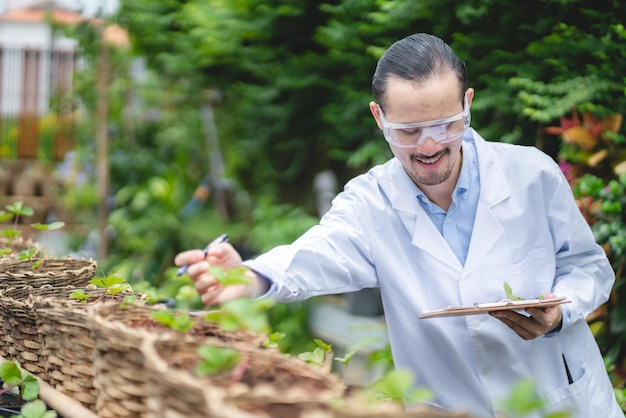 Foto cientista trabalhando para pesquisar na agricultura, planta verde na estufa do laboratório de ciências da biologia, teste de experimento orgânico para biotecnologia de alimentos medicinais, biólogo da ecologia da botânica no crescimento agrícola