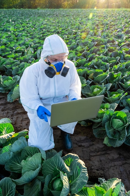 Cientista usando um equipamento de proteção branco, máscara química e óculos usa Laptop no campo agrícola.
