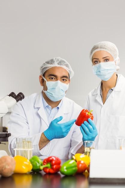 Cientistas da comida que olham uma pimenta