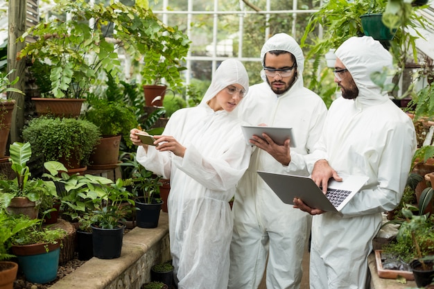 Cientistas discutindo sobre tecnologias em estufa