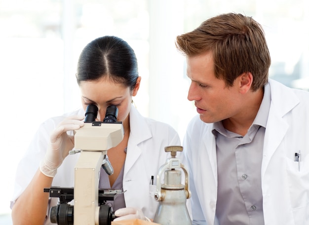 Cientistas que olham através de um microscópio