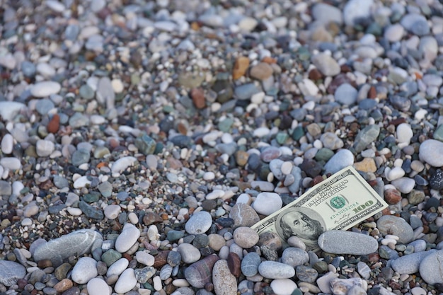 Cientos de dólares medio cubiertos con rocas redondas yacen en la playa