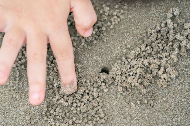 Cierra la mano y el dedo del niño, juega y aprende en la playa.