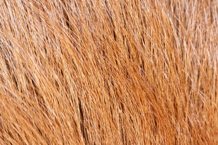 Cierra la piel de perro marrón para obtener textura y patrón.