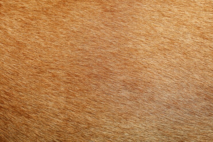 Cierra la piel de perro marrón para obtener textura y patrón.