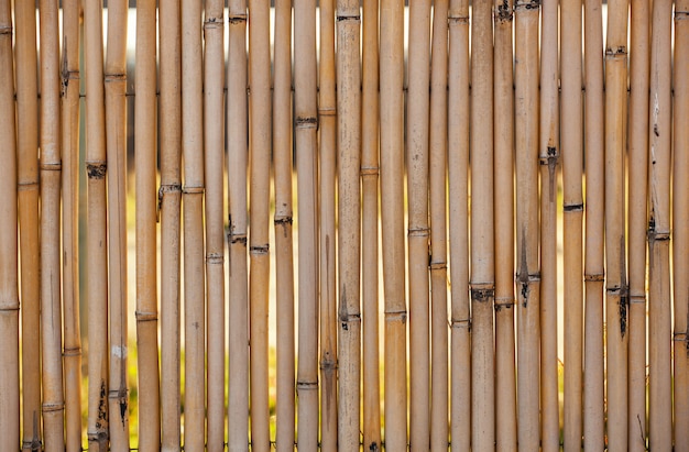 Foto cierre de bambú de la cerca encima del fondo.