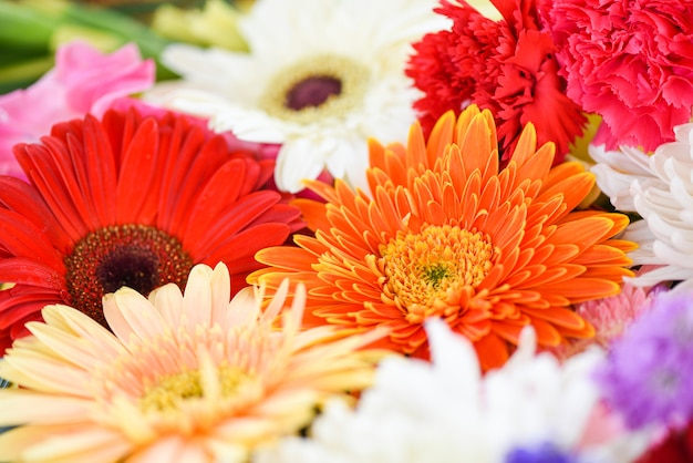 Cierre de flores de primavera fresca manojo planta gerbera crisantemo fondo colorido de la flor