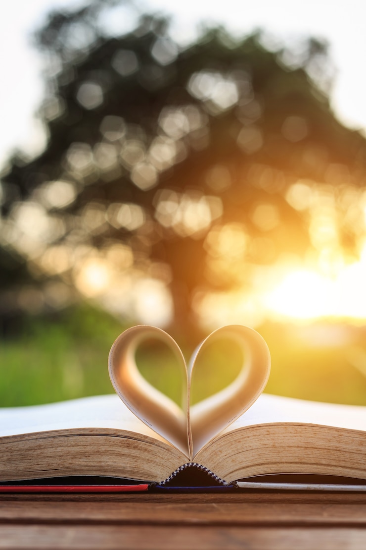 Foto cierre de libro sobre la mesa en el atardecer