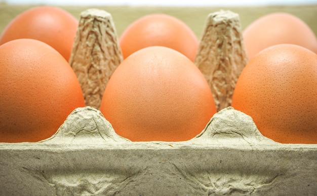 Foto cierre de vista fresca huevos de pollo crudos en caja de cartón marrón comprados en el mercado, mercado, su