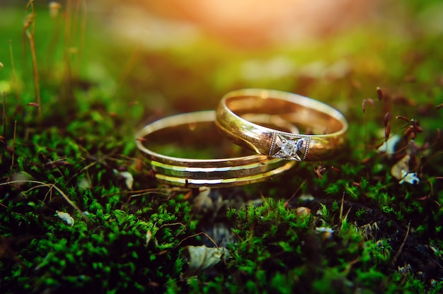 Ciérrese para arriba - los anillos de oro de novia y del novio mienten en una hierba verde. Fotografía macro Anillos de boda en musgo.