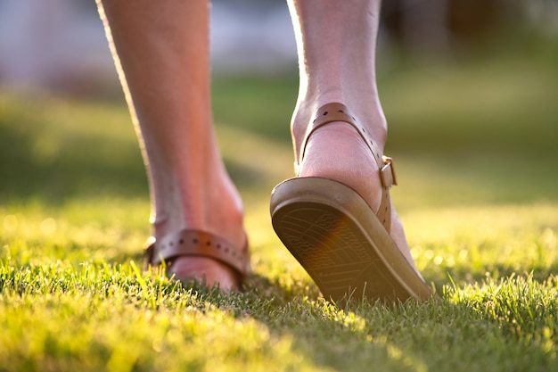 Ciérrese para arriba de los pies de la mujer que caminan en el césped de la primavera cubierto con la hierba verde fresca.