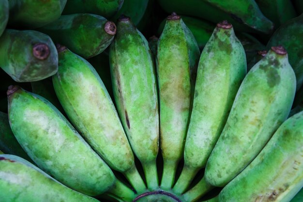 Ciérrese para arriba de los plátanos maduros tropicales del verde de musa para hacer los postres o la comida vegetariana. Mercado de frutas tailandesas.