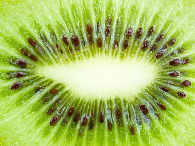 Ciérrese encima de fondo de la textura Fruta de kiwi.