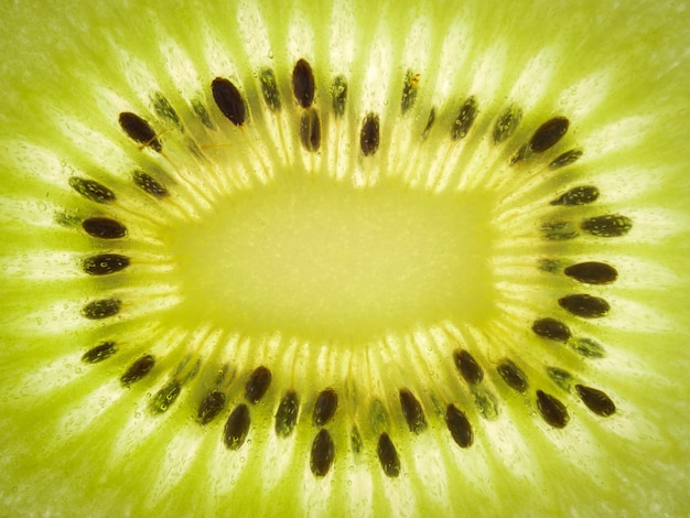 Ciérrese encima de fondo de la textura Fruta de kiwi.