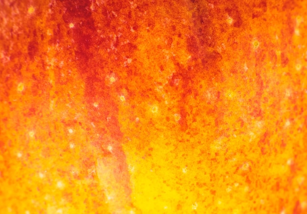 Ciérrese encima de la foto del fondo de la manzana roja. Textura de la cáscara de la fruta de las manzanas, visión macro. Hermoso papel tapiz natural.