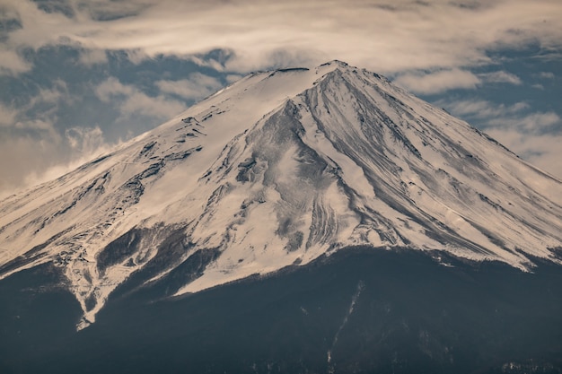 Ciérrese encima de la montaña de Fuji con la capa de nieve en la cima con podría, fujisan