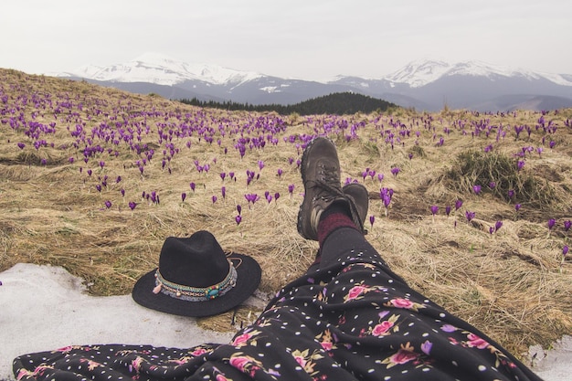 Ciérrese encima de las piernas elegantes del viajero en la foto del concepto del prado de las flores del azafrán