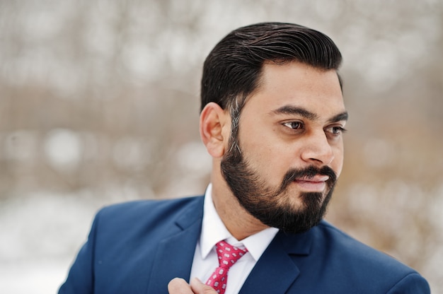 Ciérrese encima del retrato del hombre de negocios indio elegante de la barba en el traje presentado en el día de invierno al aire libre.