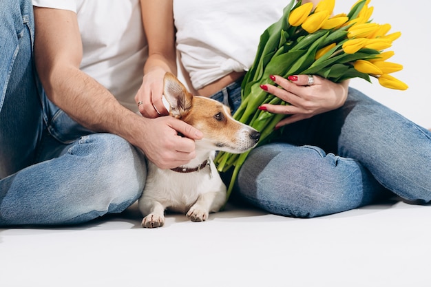 Ciérrese encima del retrato del perro con las flores amarillas aisladas en el fondo blanco con los pares encantadores detrás. Celebrando San Valentín, día de la mujer. Amor y concepto de familia feliz.