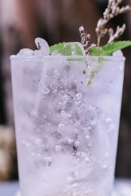 Ciérrese encima de la soda de la cal con las hojas y las flores de menta en la tapa.