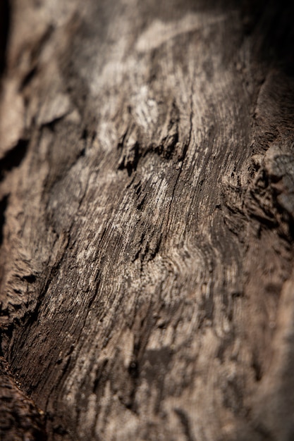 Ciérrese encima de textura de madera vieja