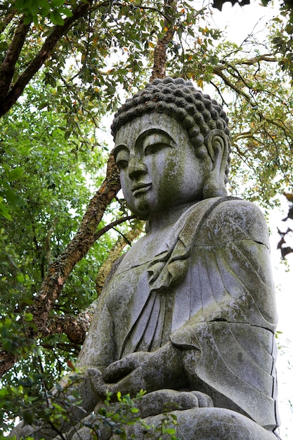 Ciérrese encima de vista de una estatua hermosa de Buda en un parque.