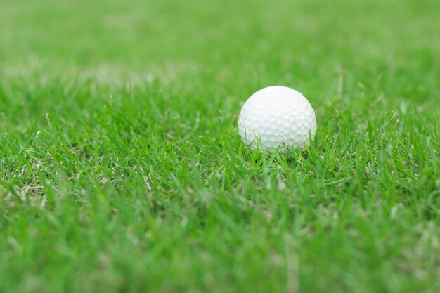 Ciérrese hasta la pelota de golf en hierba verde.