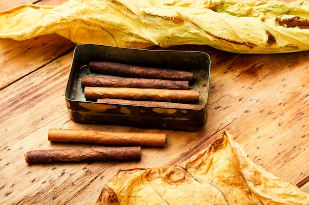 Cigarillos y hojas de tabaco seco sobre fondo de madera