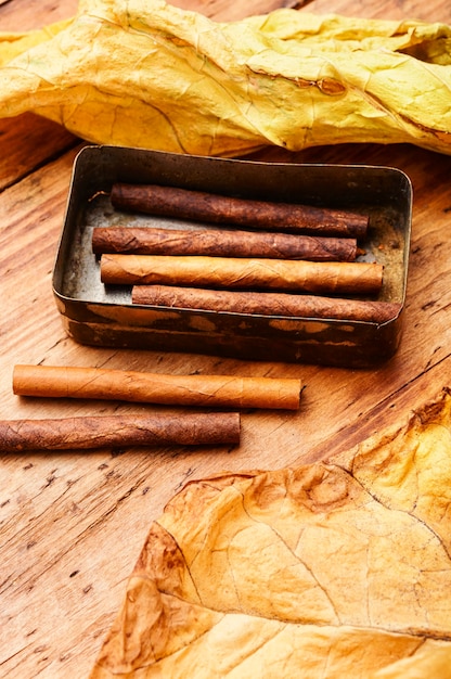 Cigarillos y hojas de tabaco seco sobre fondo de madera