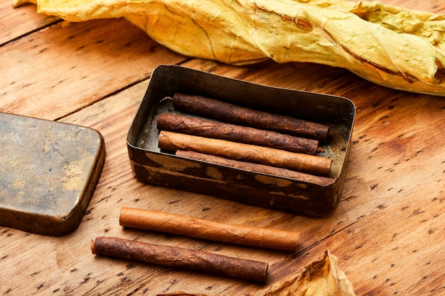 Cigarrilhas e folha de tabaco seco em fundo de madeira