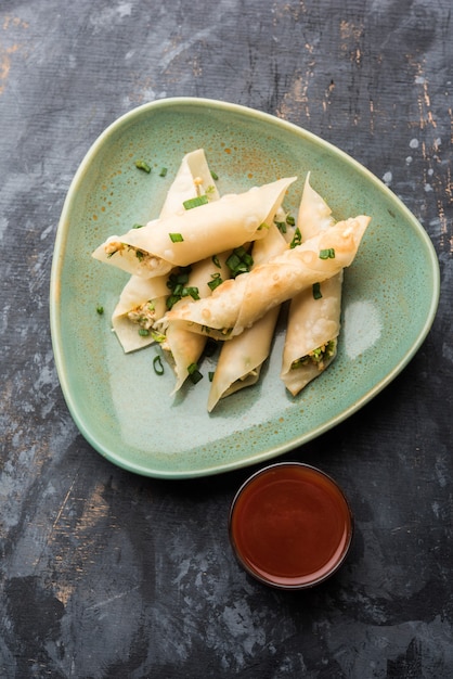 El cigarro de chile Paneer son rollos crujientes rellenos de paneer, que es un entrante interesante para cualquier fiesta. servido con salsa de tomate. enfoque selectivo