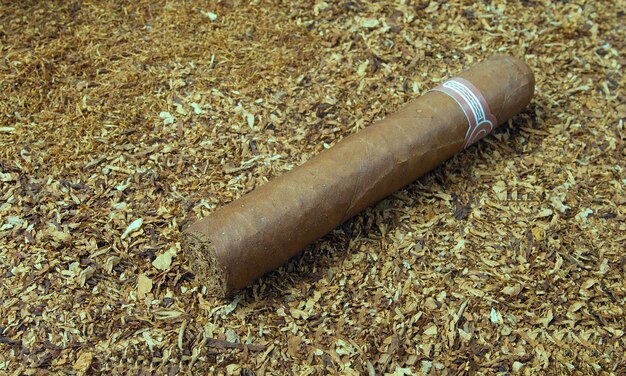 Foto un cigarro cubano se deshace del tabaco