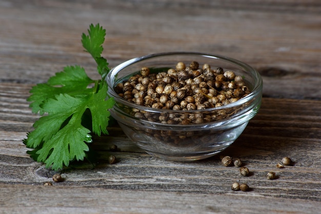 Foto cilantro - granos en un recipiente de vidrio y hojas, close-up