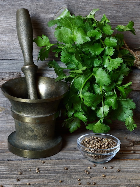 Foto cilantro - hojas verdes y semillas en la mesa de la cocina