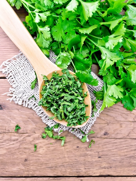 Cilantro seco en una cuchara de arpillera, hierba de cilantro fresco sobre un fondo de una vieja tabla de madera desde arriba