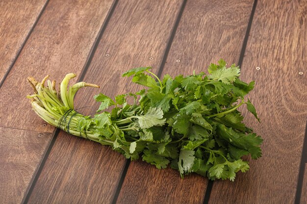 El cilantro verde deja un montón de hierbas