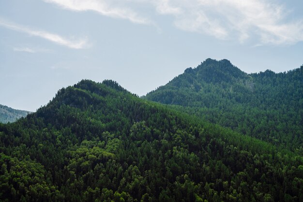 Cima de la colina verde bajo el cielo azul claro.