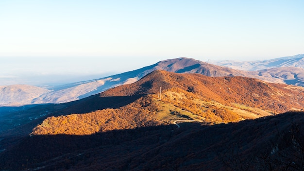 La cima de la montaña cubierta de bosque al atardecer.