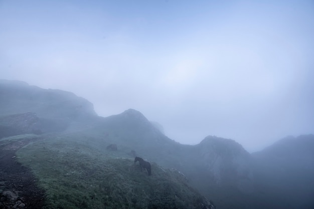 Cima de la montaña Peñas de Aya