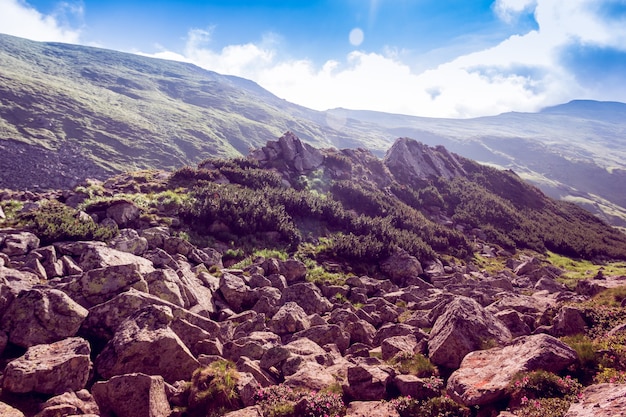 Foto cima de la montaña rocosa entre las montañas verdes