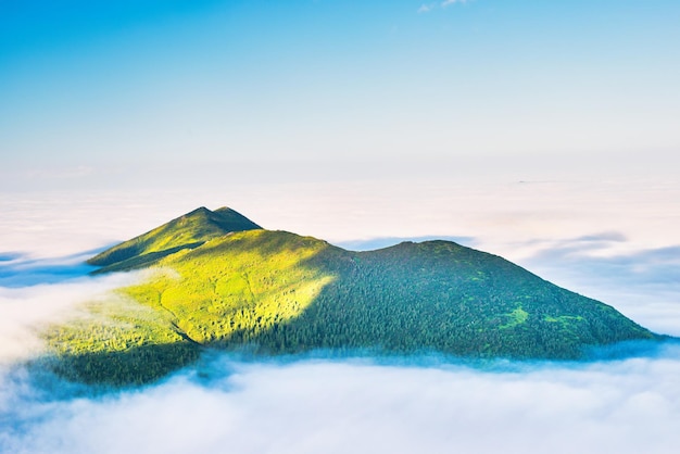 Cima de la montaña verde en las nubes