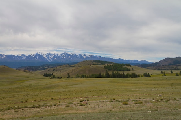 Foto cima de nieve en las montañas de altai. vista inferior.