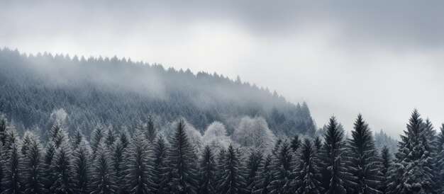 Foto las cimas de las montañas cubiertas de nieve en invierno