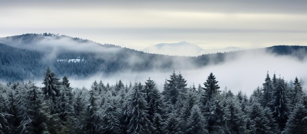 Foto las cimas de las montañas cubiertas de nieve en invierno