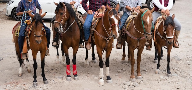 Cinco Charros mexicanos andando a cavalo Vaqueiros tradicionais do México em fila