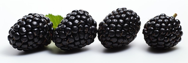Cinco moras en un fondo blanco frambuesas negras superficie blanca cuencos de frutas horneando con B