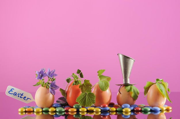 Cinco plantas de mudas orgânicas em ovos de Páscoa em fundo rosa Eco jardinagem Horizontal